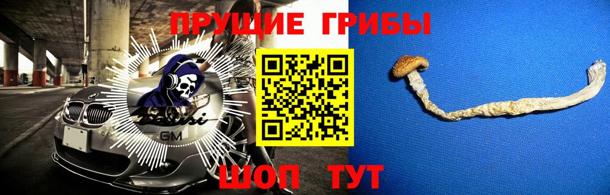 Галлюциногенные грибы Magic Shrooms  где купить наркоту  Керчь  Вход с VPN 