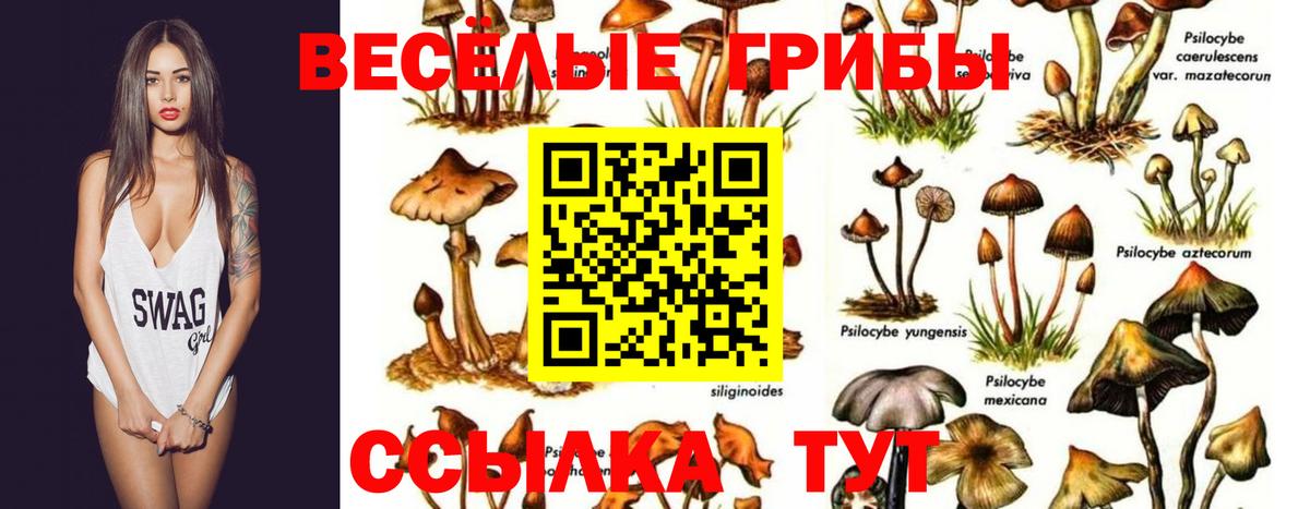 Галлюциногенные грибы мицелий Керчь